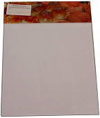 Стекло Airhot для витрины HW-1